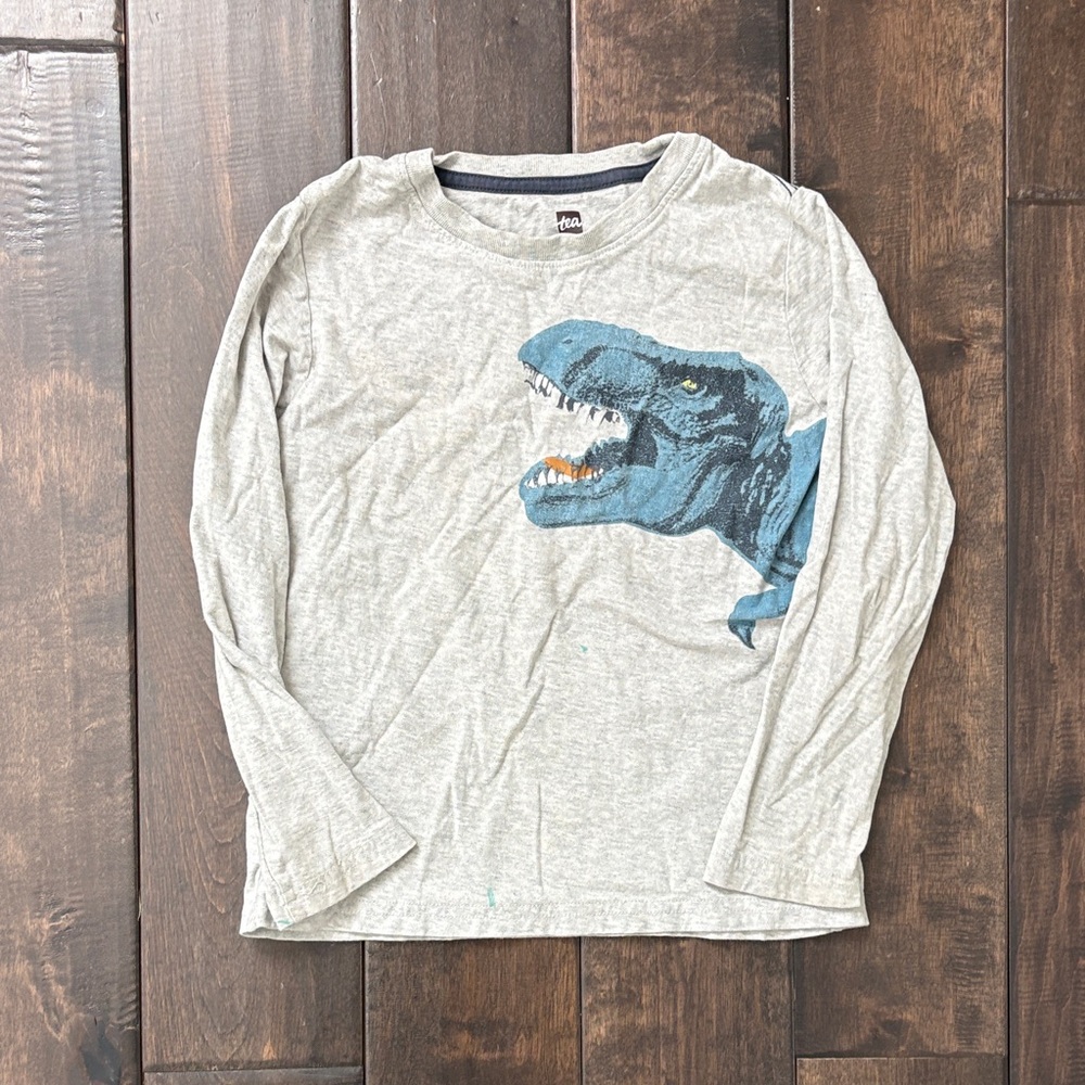 TEA COLLECTION Size 6 Boy Bundle Gray Crewneck, long sleeves, T shirt Dinosaurs - Picture 4 of 11